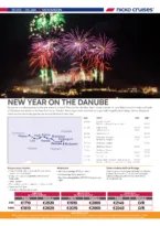 New Year on the Danube