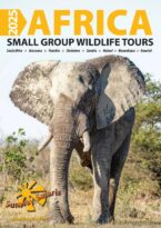 Sunway Safaris Brochure 2025